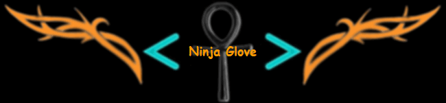 Ninja Glove